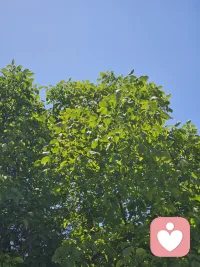 正式成为守护倾听师啦！在助人的道路上迈出了第一步！！愿每天都有如此的阳光❣️❣️❣️