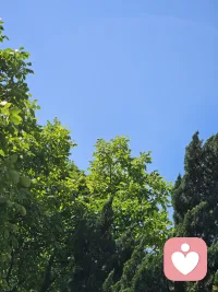 正式成为守护倾听师啦！在助人的道路上迈出了第一步！！愿每天都有如此的阳光❣️❣️❣️