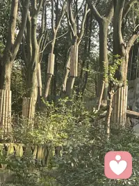 我是倾听者，听人间烟火，听心事起落，听伍佰唱尽半生温柔不评判，不打扰，只安静倾听，像伍佰的歌，懂所有不为人知做人间倾听者，把心事交给晚风，把情绪交给伍佰承接你的疲惫与委屈，就像伍佰的歌声，粗糙又温柔，治愈所有心事有人唱歌宣泄，有人听歌自愈，而我做倾听者，接住每一份无处安放的情绪不必伪装坚强，不必故作开朗，我在这里静静听你，如同伍佰，永远懂普通人的悲欢听世间风雨，听爱恨遗憾，听伍佰把人生唱得坦荡又释然生活万般难，心事无人讲，我做你的倾听者，用一首老歌，渡一场情绪伍佰唱尽人间沧桑，我倾听所有寻常，愿你所有心事，都有处安放以温柔为岸，以歌声为舟，陪你在伍佰的旋律里，慢慢释怀世间嘈杂，总需要一个倾听者，听懂你的沉默，读懂伍佰的浪漫与孤独不必言语，自有共鸣，我是倾听者，与伍佰同频，与你共情