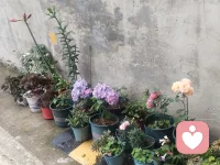 接纳所有不完美，慢慢沉淀，悄悄优秀。配图