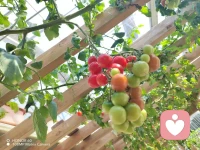 一抹微笑
       如同春日暖阳
         不仅温暖自己也照亮ta人配图