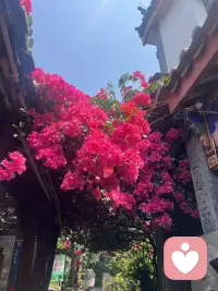 闲暇时光之长寿菩提古镇🥰配图