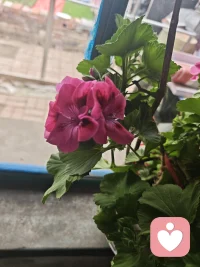 不善言辞，只愿用心倾听，做你随时可以停靠的情绪港湾。配图