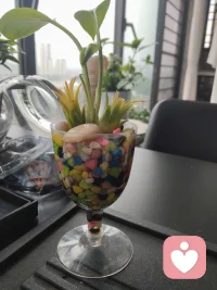 世界很吵，这里可以安安静静说说话，我是你的专属树洞，随时都在！