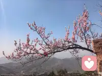 备孕的辛苦、孕期的担心、产后的低落，育儿的艰辛……这些情绪不用一个人扛。
陈姐在妇产科工作过10余年，现在也经营着月子会所，你正在经历的，我懂。
每晚8-12点，我在这里。想找人聊聊的时候，给我打个电话。
#你的心事有人听 #孕产陪伴