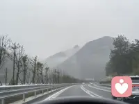 心若总徘徊于得失之间，
脚步就永远无法前行。
放下无谓顾虑，看淡未知风险，
随心而行，方能挣脱内耗牢笼。配图