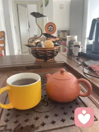 蘑菇长在阴暗角落，无人问津、默默自生自长。
熬过无人撑腰的低谷，默默沉淀蓄力。耐得住寂寞，才能扛得起繁花似锦。配图