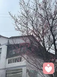 【鳄鱼法则】
鳄鱼咬住你的手，若强行拉扯，整个人都会被吞噬。及时舍弃、果断止损才是智慧。人生最怕的不是失去，是不甘心纠缠，耗尽所有美好。配图