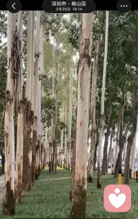 成年人的情绪，贵在自愈不言伤。
熬过心绪低谷，放下无谓内耗，温柔待己，清风自来。配图