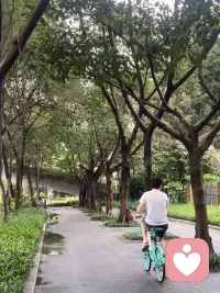没有绝对完美的前路，也没有毫无遗憾的选择。
戒掉瞻前顾后的迟疑，遵从本心，遇事坦然，自渡万般迷茫。配图