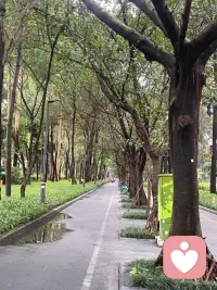 生活中遇到傻子怎么办？
同意他一切观点，把他培养成大傻子。配图