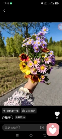 这世界有太多的不如意，但你的生活还要继续。
加油🌹🌹🌹