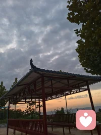 希望你能真的释怀，
而不是瞒着很多人偷偷难过。

漫长的人生，总要无数次调整心态，
接纳不完美与事与愿违。