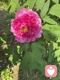 在热爱里，很漫，很踏实，普通人普通生活普通过[元气满满][元气满满]