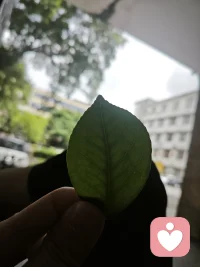 害。说一下
1，我很全能，可放心找我解决很多很多问题
2，问我有啥能力，我只说一个例子，20年那会我给6-7万人解决问题，献出了自己的作品让很多人得到帮助。
3，我的爷爷三项全能，至于我有相关能力（武，学，中）
最后:我为此发帖只是我既然选择在这，那就让更多人选择我。
害，不说了，选择我不会后悔，可以我会开始，不可以我会让你另选他人配图