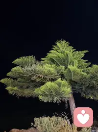 如果有人想和你终止关系：

你立马同意就好了，不要想着去追问为什么或者苦苦挽留对方，人是不会对不重要的东西有愧疚感的。配图
