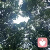裂缝或许是伤痕，但换个角来看，或许那也是光透进来的地方呢配图