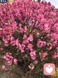 旧物存于方寸，时光留有余温！配图