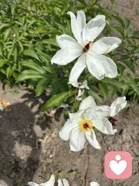 只有靠近自然人才会释然，只有多靠近自然人才会啥都想的明白，天空那么大什么都能包容，水那么宽，多少眼泪都可以装下！配图