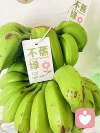 众生皆苦，不必独自硬扛，你的脆弱无需隐藏。