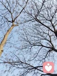 两个沟通不了的人一定是都站在各自的角度，他看不到你的内心世界，你也看不到他的内心世界。最后就是吵起来。