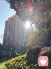 我没有高大上的标签，我很纯粹，就像一面镜子可以照见你配图