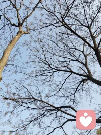 最后我发现，你只需要放下就可以得到这么多美妙的东西。配图