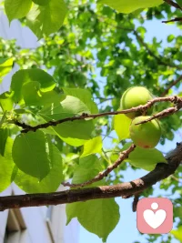 当有一天你学会用祛魅的方式看待任何人事物，对待任何事都回归到它本质上的探讨时，你自然就会形成清晰的看世界的视角和思维。配图