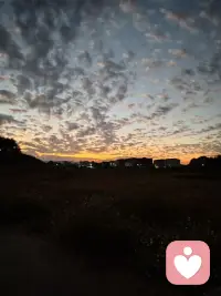 愿每一天都是快乐的！配图