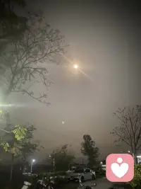 愿每一天都是快乐的！配图
