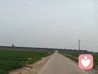乡间旅行