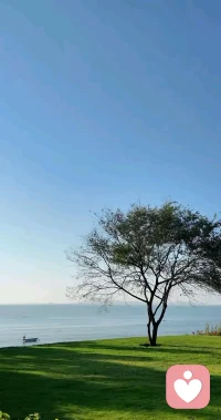 人活到某一个阶段，就会明白庄子那句话:独与天地精神往来，风吹到哪里都能安放好自己，竹子空心才坚韧，人心放空才从容。配图