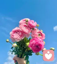 大树🌲底下无大草🌿，能为你遮风挡雨的，同样也可以让你不见天日。尽早接受这无人兜底的一生，人生的圆满终究需要靠自己来成全。配图