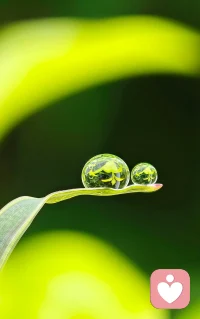 克服每个想要依靠别人的瞬间，然后告诉自己:我有翅膀🪽🪽配图