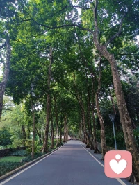 我从来不指望自己能吸引别人 ，我觉得这样很浅薄。我得吸引我自己 ，让我对自己有了热爱 ，才能完成以后一个个孤单而又漫长的日子。[太阳]
