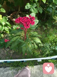 师者，所以传道受业解惑也。人非生而知之者，孰能无惑？感恩我的热爱能成为我的事业
