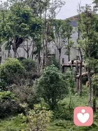 倾听你的心声，释放你的压力，缓解你的心情，希望你能做一个潇洒肆意的人配图