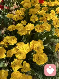 新的一天，愿我们都能温柔对待自己。
不必急着完美，不必硬撑坚强，允许自己慢慢来，允许情绪自然流淌。
好好呼吸，好好生活，好好爱自己。
你值得被温柔以待，也值得被自己珍惜。配图