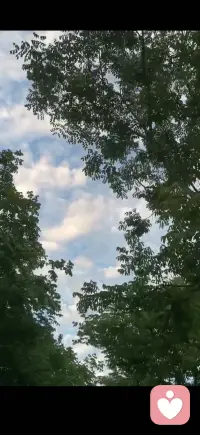 抬头，是被治愈的瞬间，一半绿意盎然，一半云卷云舒，日常的美好藏在云与树之间[咖啡][玫瑰]配图