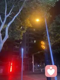 成年人的谎言，请不要拆穿配图