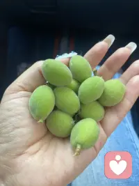 等风，等雨，也等你！配图