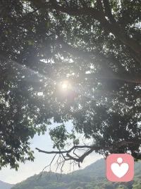 终于决定做一名线上倾听师啦✨
 
深知成年人的世界，总有说不出口的委屈、藏在心里的心事，还有无人共情的迷茫与孤单。
 
往后我愿做你的专属树洞，不评判、不指责、不说教，安静倾听你的所有情绪。感情烦恼、生活压力、情绪内耗、日常心事，都可以放心跟我说。
 
愿意做你疲惫生活里的一份温柔慰藉，陪你治愈情绪，慢慢释怀❤️配图
