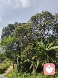 不用讨好任何人，在我这里，你的情绪最珍贵。配图