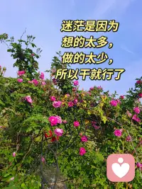 智慧是源泉，开启自己智慧开启他人智慧，智慧一开福禄自来。配图