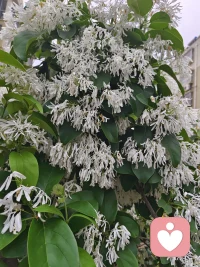 智慧是源泉，开启自己智慧开启他人智慧，智慧一开福禄自来。配图
