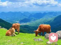 人不可能每一步都正确。
不用回头看，
也不要批判那时候的自己。
要始终相信，
所走之路，所遇之人，
所留之遗憾，都是应该经历的。配图