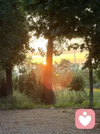 我今天读到一句话，你把一个不擅长关系修复，不愿意承担情绪共建的人当成了慢慢对齐的对象，这不是眼光差是你太相信真诚能换来理解了，请你记住这句话，一个人如果在关系里唯一能做的是自保，那他就不适合你这种会自省会共情的人，并且你已经走到这段关系最远的位置了配图