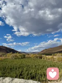 有一个核心问题是，不是没人爱你，而是你太难被取悦、征服。你不是别人给一点温暖就能陷进去的小女孩，你的灵魂住着一个王者，你要求的棋逢对手的尊重，精神层面的共鸣和绝对的实力认可。所以你常常觉得爱很无趣，是因为普通的儿女情长，已经完全不能左右你。配图