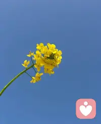 ​我们以为问题在别人身上，其实能够刺痛我们的，是自己未曾看见的部分。当你被他人的傲慢激怒，也许是因为你内心渴望被尊重，却从未真的肯定过自己；当你抗拒他人的掌控，或许是因为你还无法面对自己的软弱与退让；而当你害怕关系的疏远，本质上是在害怕那个无人回应、无人依靠的自己再次被唤醒。