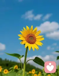 每一种情绪，都是内在需求的投射！